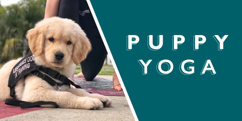 Puppy Yoga Puppy Yoga